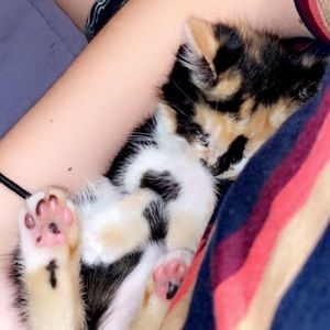 Meet your Posher, Hanna